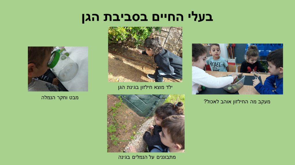 הגן הירוק שלנו by yael ashkenazi - Ourboox.com