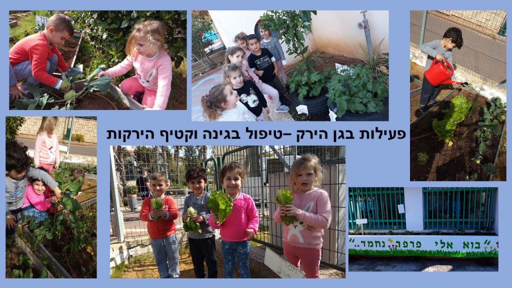 הגן הירוק שלנו by yael ashkenazi - Ourboox.com