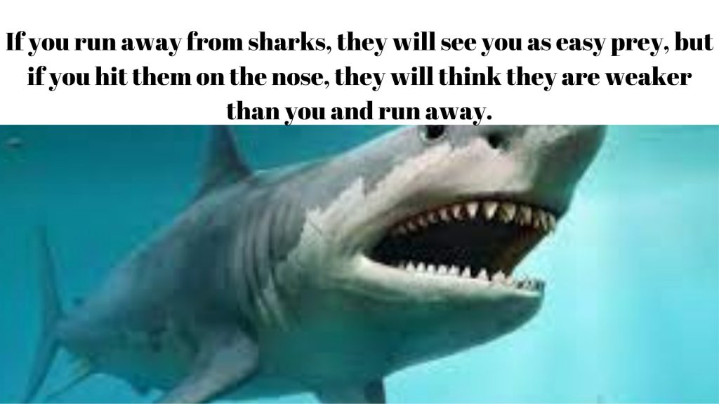 3. SCIENTIFIC INTERESTING KNOWLEDGE CARDS(3.TAKIM BİLİMSEL İLGİNÇ BİLGİ KARTLARI) by Tülay - Ourboox.com