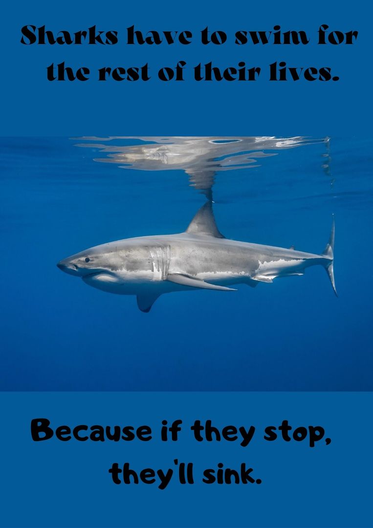 3. SCIENTIFIC INTERESTING KNOWLEDGE CARDS(3.TAKIM BİLİMSEL İLGİNÇ BİLGİ KARTLARI) by Tülay - Ourboox.com