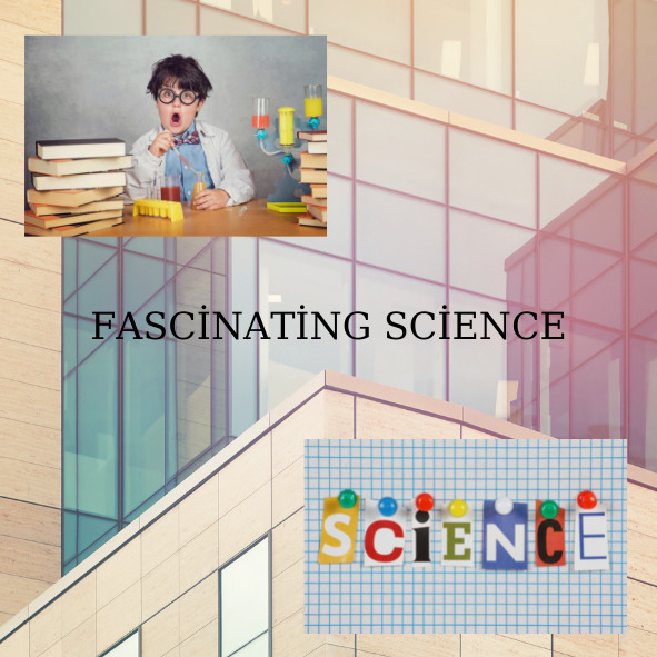 3. SCIENTIFIC INTERESTING KNOWLEDGE CARDS(3.TAKIM BİLİMSEL İLGİNÇ BİLGİ KARTLARI) by Tülay - Ourboox.com