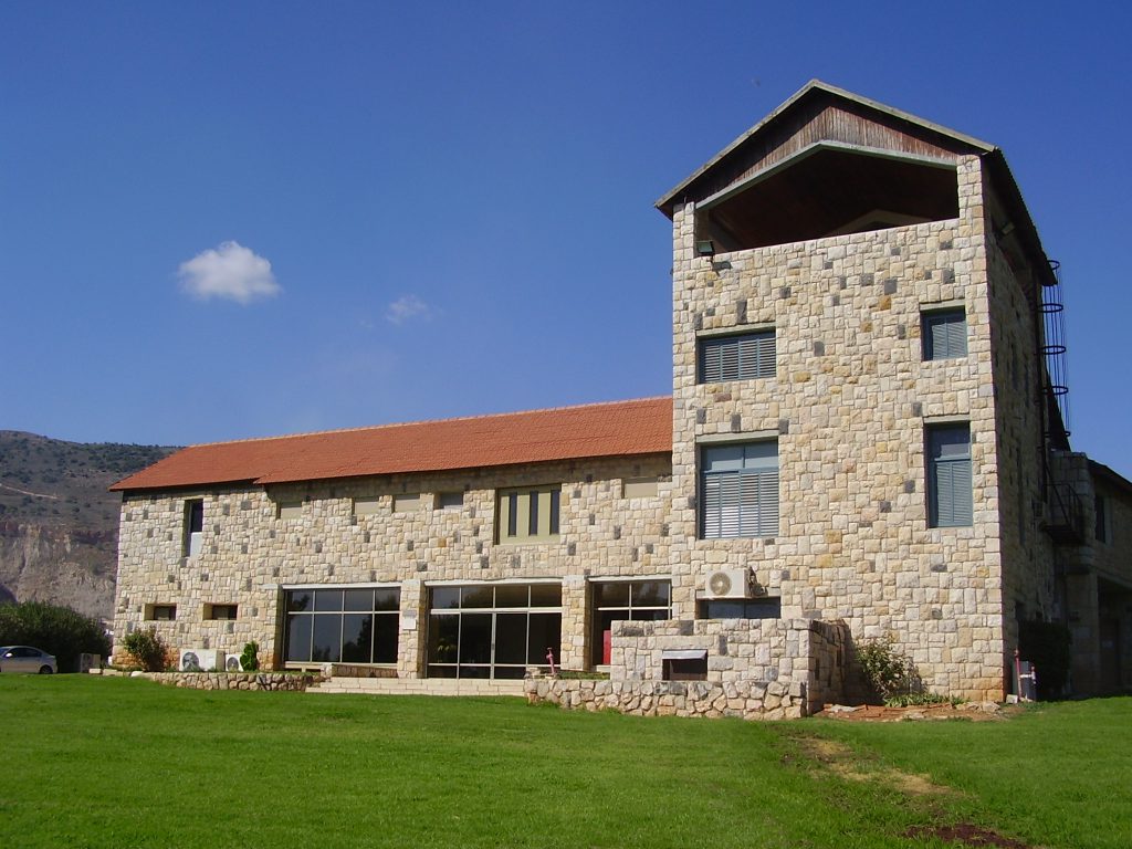 הילד הזה הוא אני by razi frochter goraly - Ourboox.com