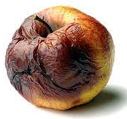 Reading Project by Enishan Eren Gücük - Ourboox.com