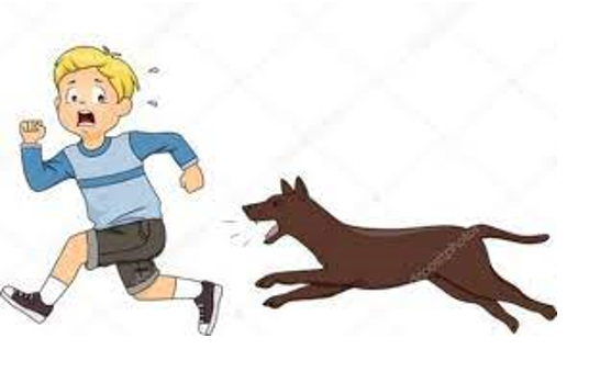 Reading Project by Enishan Eren Gücük - Ourboox.com