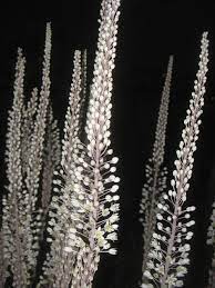 סממני הסתיו by lia livney - Ourboox.com