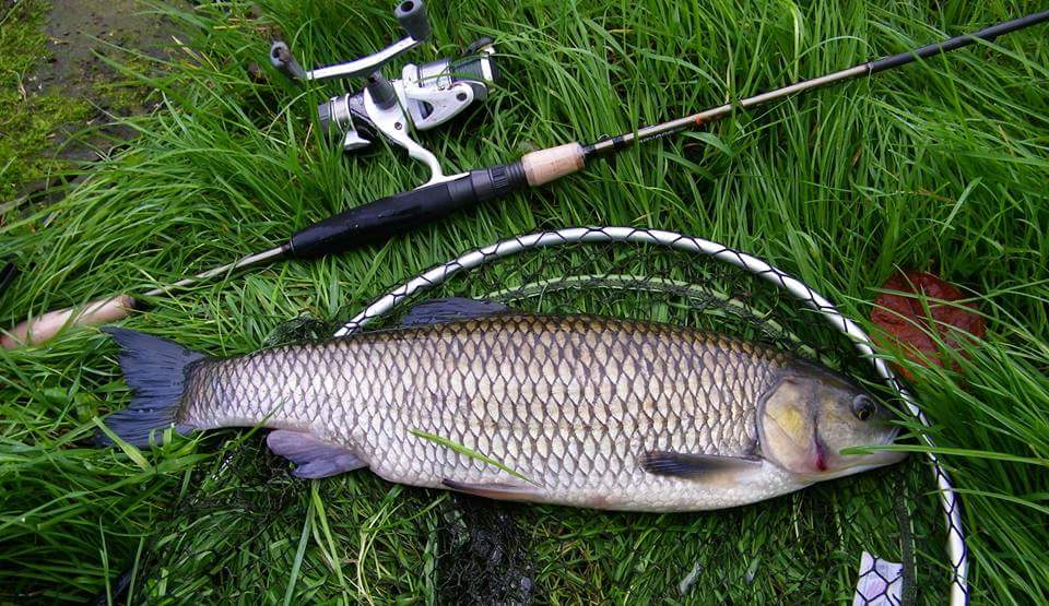 Wędkartwo by Serhej - Ourboox.com