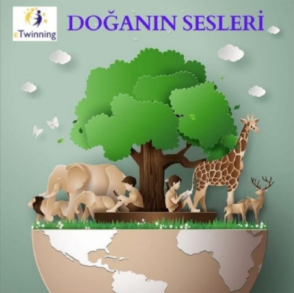 DOĞANIN SESLERİ PROJESİ AİLE DEĞERLENDİRME KİTABI by FİLİZ YILMAZ - Ourboox.com