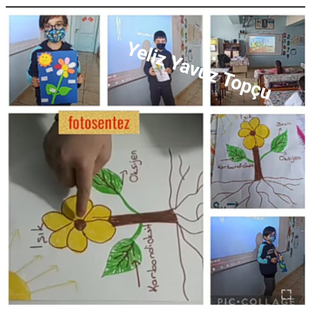 fotosentez by arzu bebek buyruk - Ourboox.com