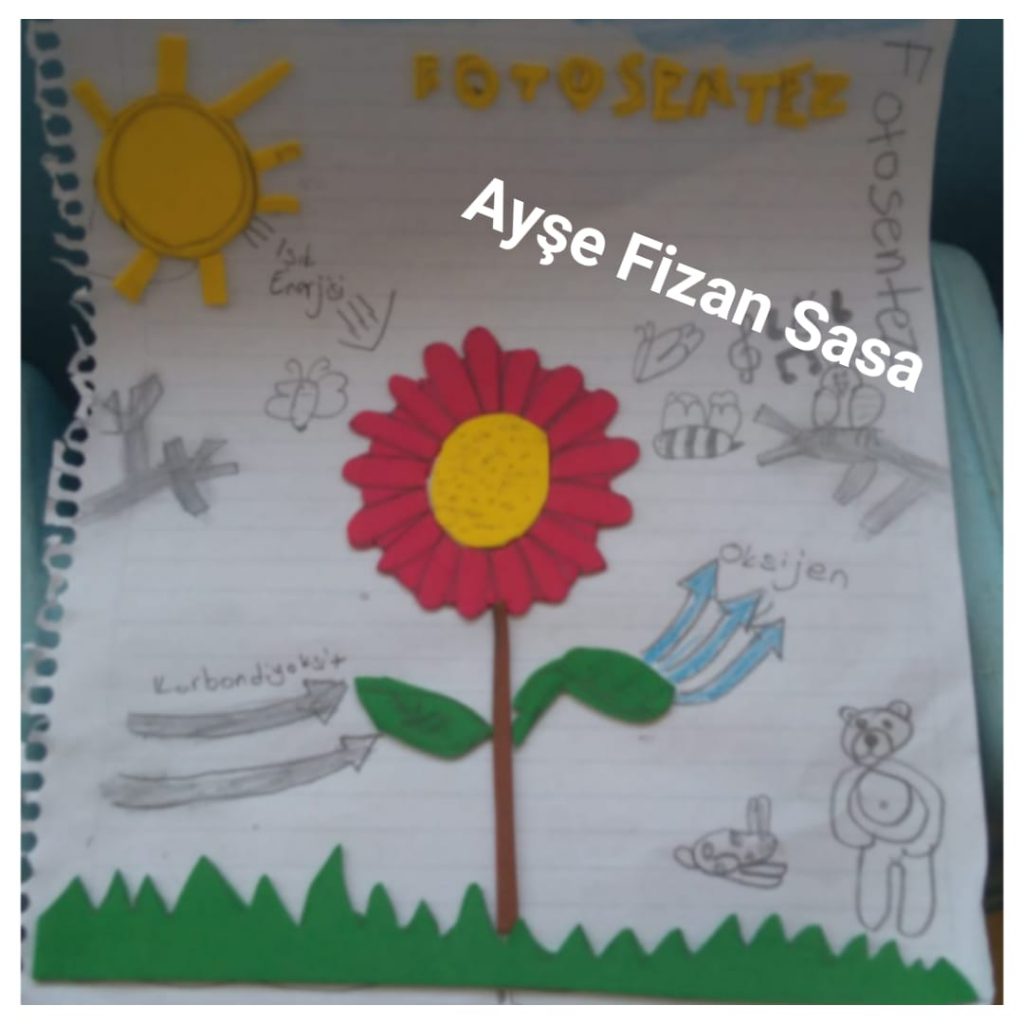 fotosentez by arzu bebek buyruk - Ourboox.com