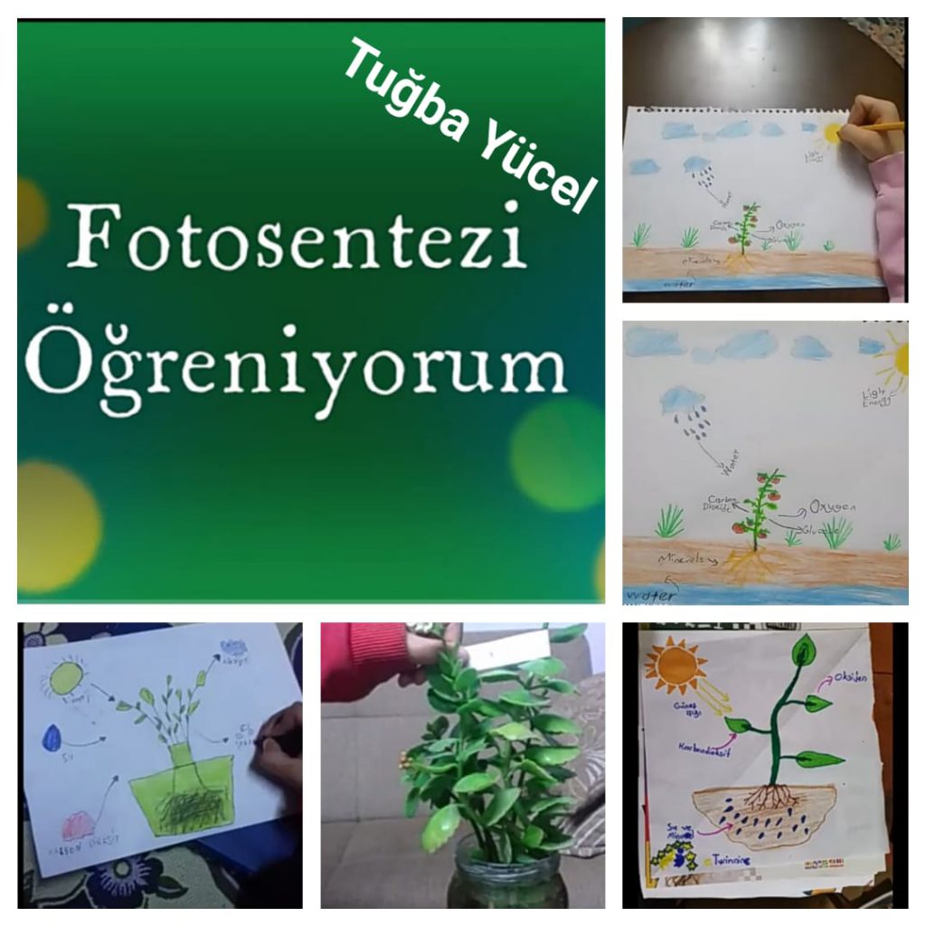 fotosentez by arzu bebek buyruk - Ourboox.com