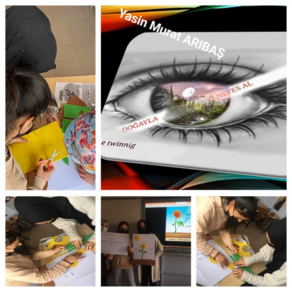 fotosentez by arzu bebek buyruk - Ourboox.com