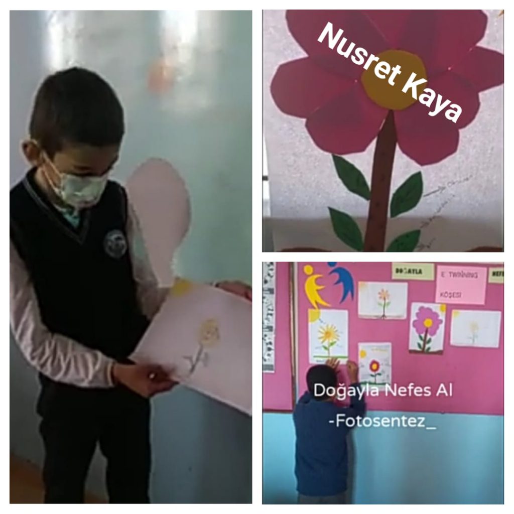 fotosentez by arzu bebek buyruk - Ourboox.com