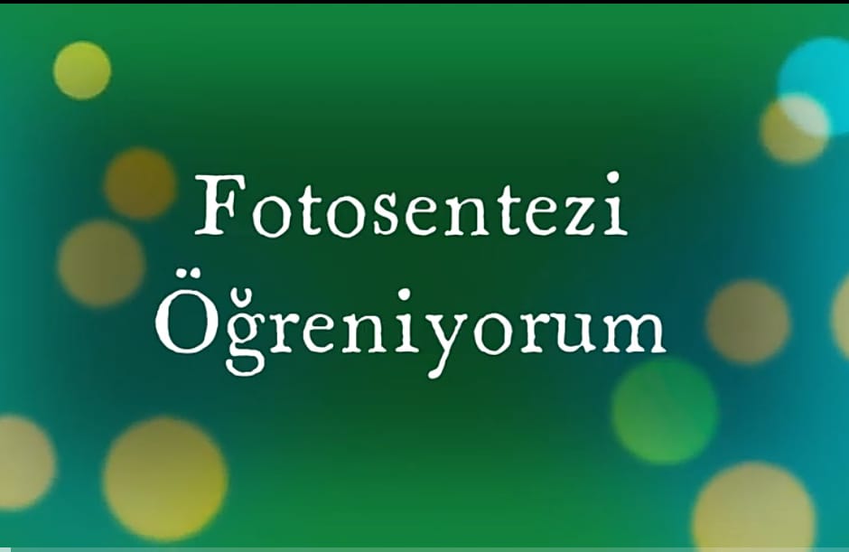 fotosentez by arzu bebek buyruk - Ourboox.com