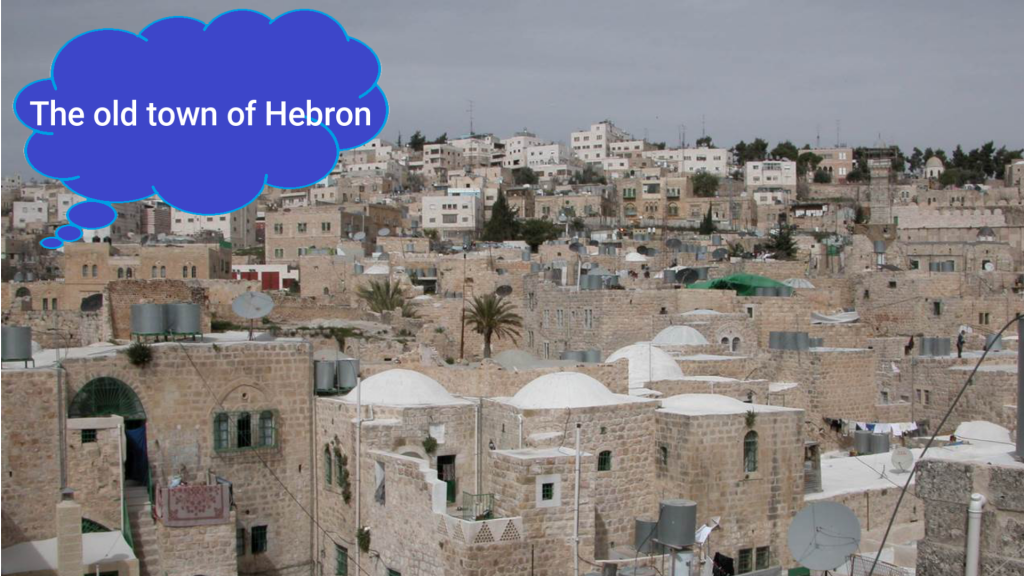Hebron City by zakealaaldein - Ourboox.com