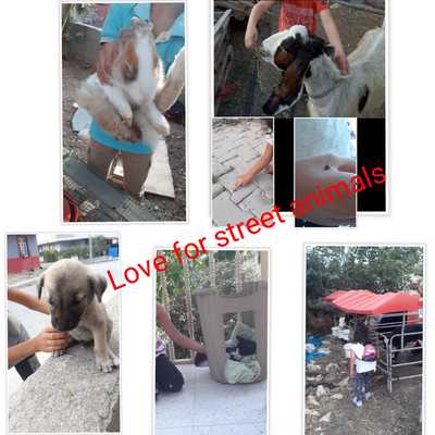 POST PANDEMIC HANDS ON WORKSH0PS FOR STUDENTS OCTOBER -VALUES WORKSHOPS WITH MY FAMILY by Tuğba KIR - Illustrated by TUĞBA KIR FAHRETTİNPAŞA PRIMARY SCHOOL 2/E - Ourboox.com