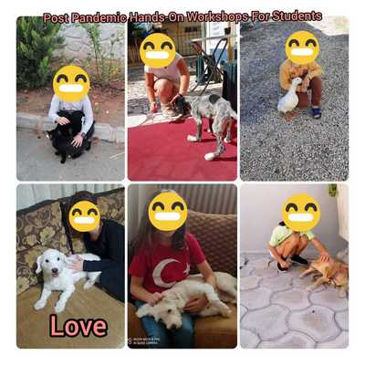 POST PANDEMIC HANDS ON WORKSH0PS FOR STUDENTS OCTOBER -VALUES WORKSHOPS WITH MY FAMILY by Tuğba KIR - Illustrated by TUĞBA KIR FAHRETTİNPAŞA PRIMARY SCHOOL 2/E - Ourboox.com