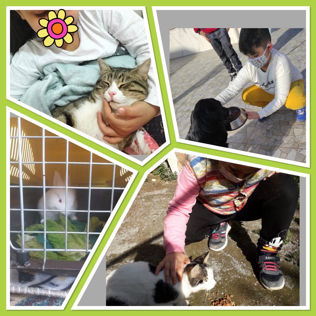 POST PANDEMIC HANDS ON WORKSH0PS FOR STUDENTS OCTOBER -VALUES WORKSHOPS WITH MY FAMILY by Tuğba KIR - Illustrated by TUĞBA KIR FAHRETTİNPAŞA PRIMARY SCHOOL 2/E - Ourboox.com