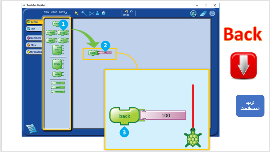 Turtle Art by ASMA - Ourboox.com