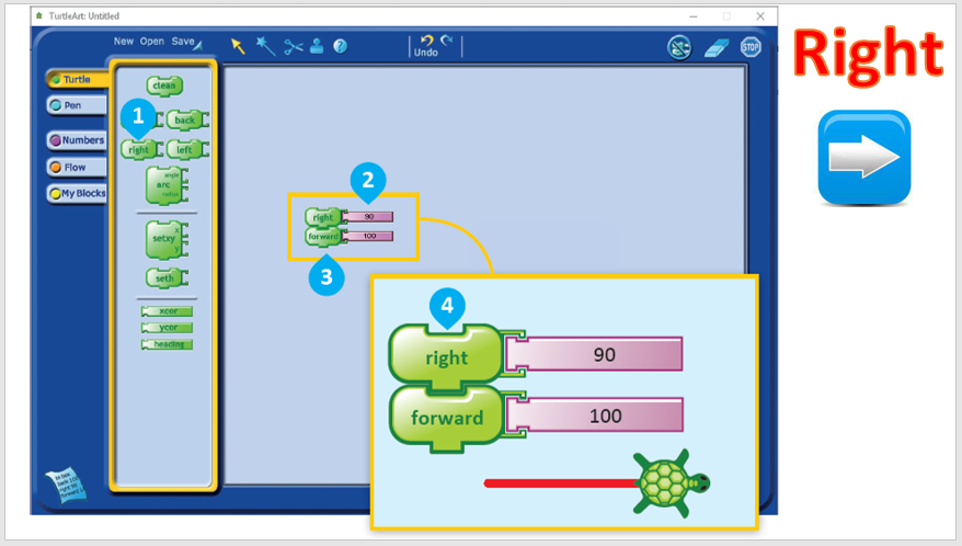 Turtle Art by ASMA - Ourboox.com