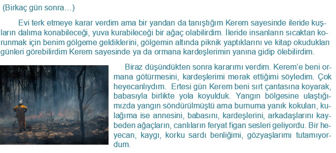 Bir Meşenin Öyküsü by SEVAL AKTER - Ourboox.com