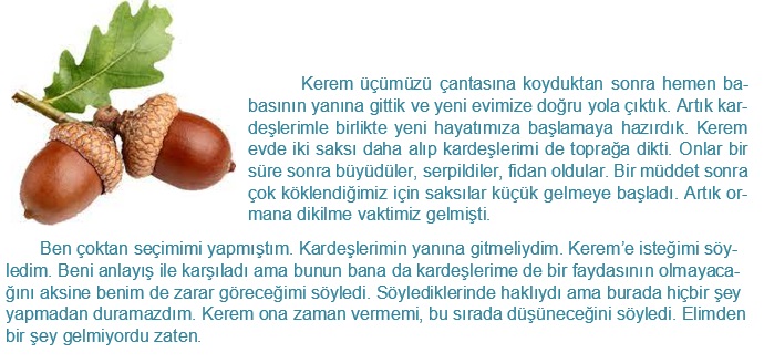 Bir Meşenin Öyküsü by SEVAL AKTER - Ourboox.com