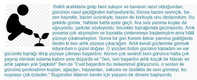 Bir Meşenin Öyküsü by SEVAL AKTER - Ourboox.com