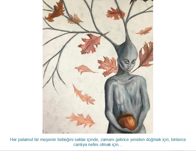 Bir Meşenin Öyküsü by SEVAL AKTER - Ourboox.com