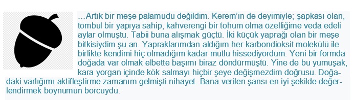 Bir Meşenin Öyküsü by SEVAL AKTER - Ourboox.com