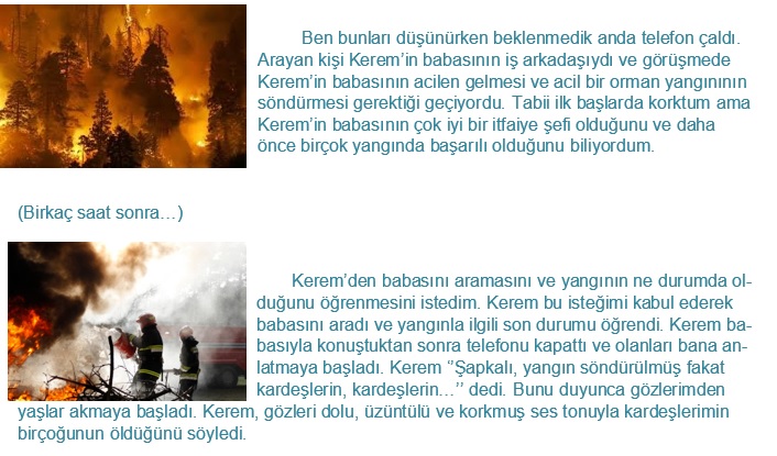 Bir Meşenin Öyküsü by SEVAL AKTER - Ourboox.com