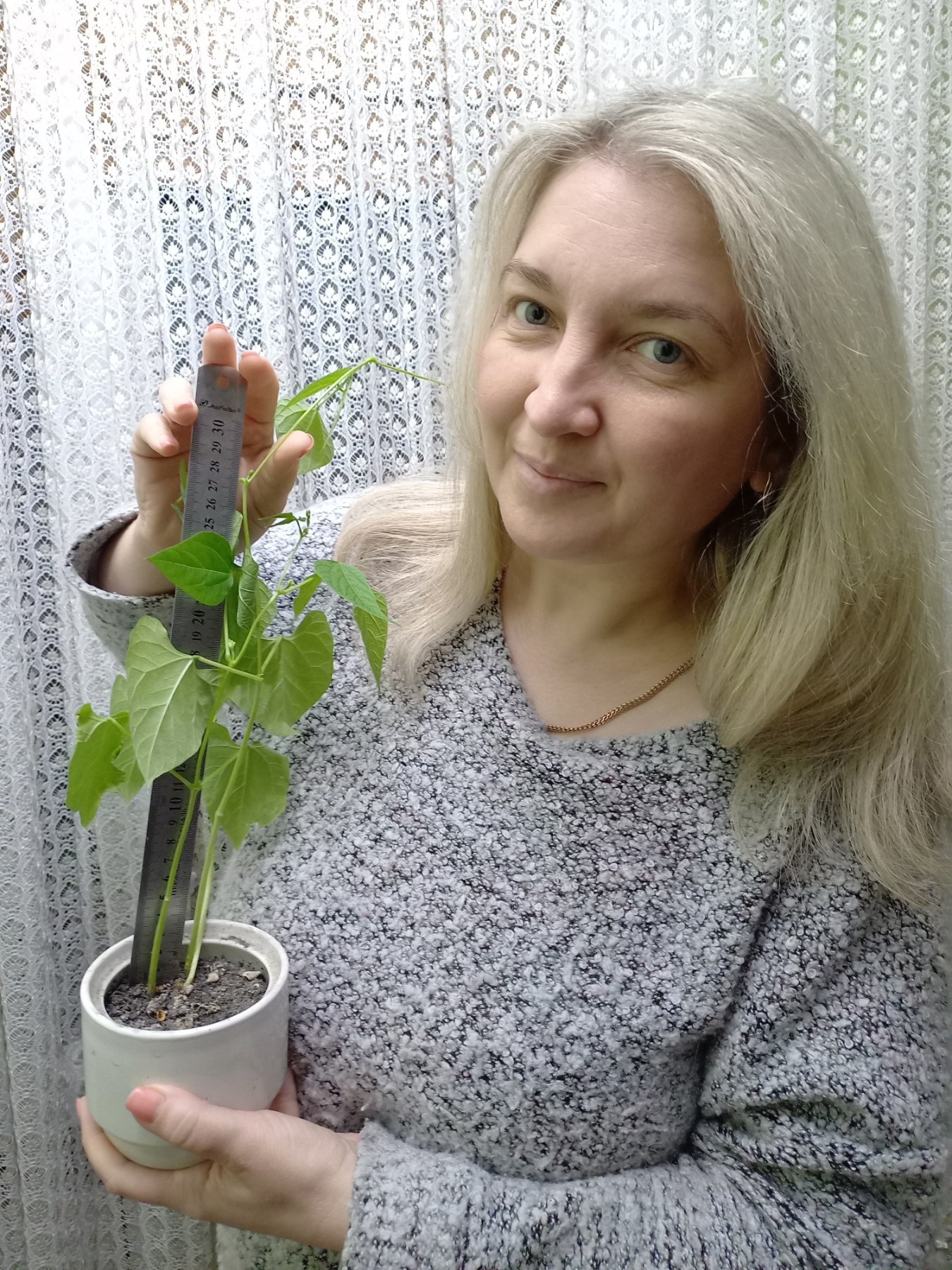 Вирощування найвищої бобової рослини by Halyna - Ourboox.com