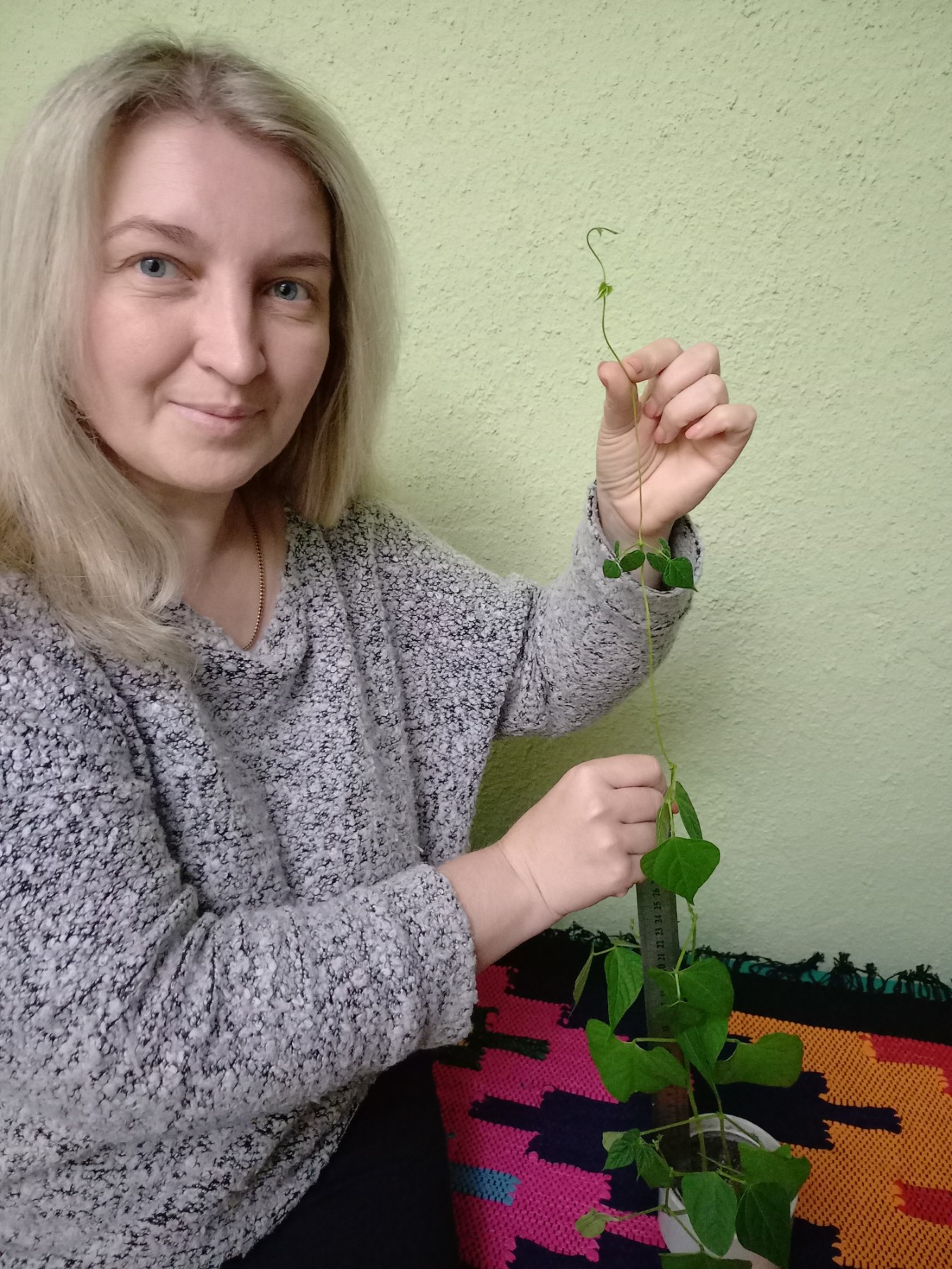 Вирощування найвищої бобової рослини by Halyna - Ourboox.com