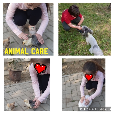 POST PANDEMIC HANDS ON WORKSH0PS FOR STUDENTS OCTOBER -VALUES WORKSHOPS WITH MY FAMILY by Tuğba KIR - Illustrated by TUĞBA KIR FAHRETTİNPAŞA PRIMARY SCHOOL 2/E - Ourboox.com