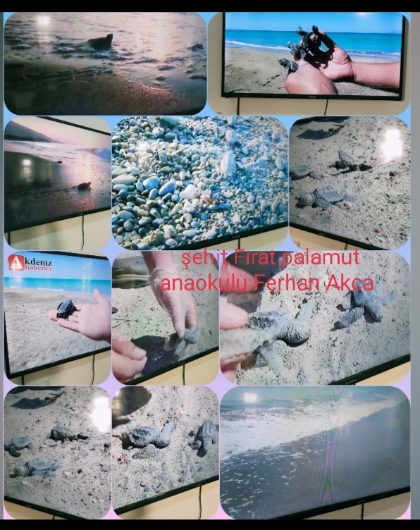 Caretta ebook by Gulten Malik - Ourboox.com