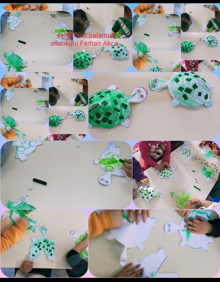 Caretta ebook by Gulten Malik - Ourboox.com