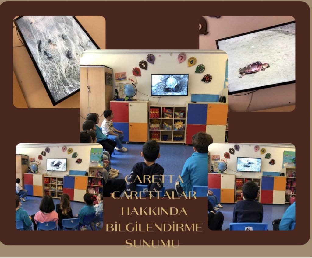 Caretta ebook by Gulten Malik - Ourboox.com