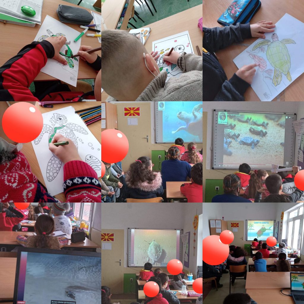 Caretta ebook by Gulten Malik - Ourboox.com