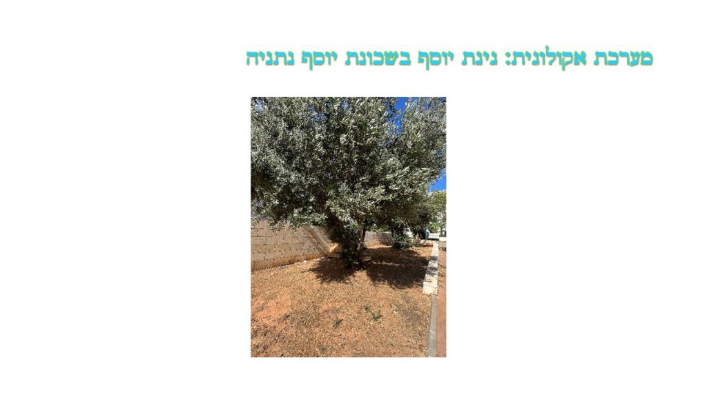 יחסי גומלין מסוג טורף נטרף by Jeremie Amsellem - Illustrated by ג