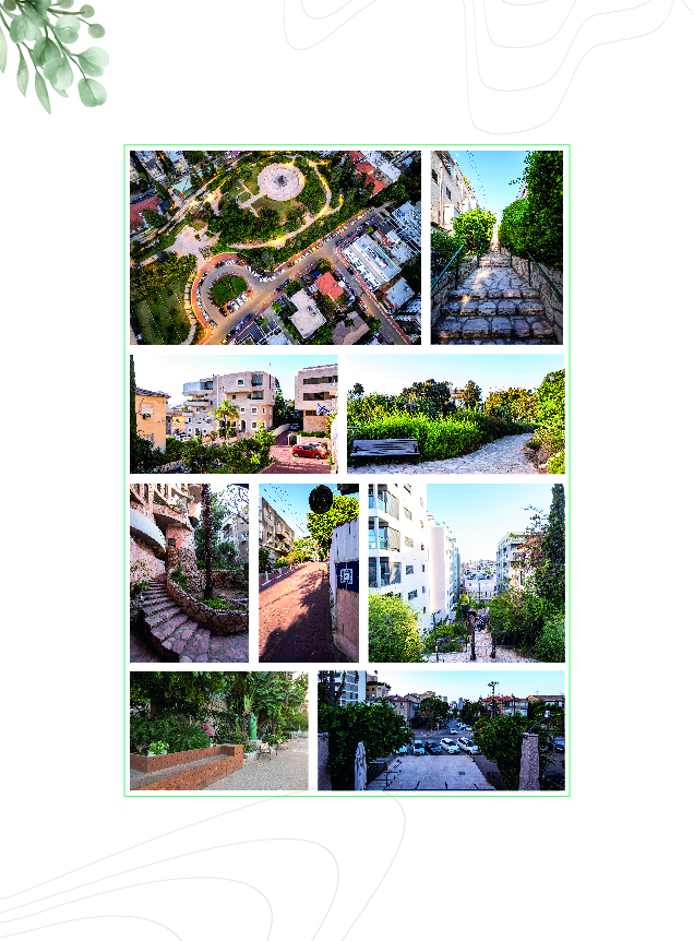 vh by eyal steinman - Ourboox.com