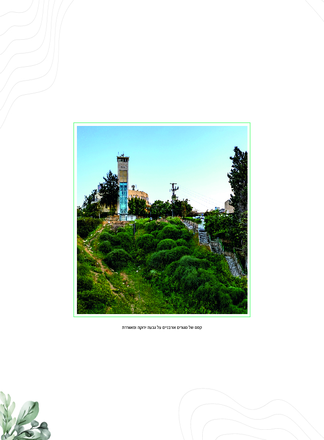 vh by eyal steinman - Ourboox.com