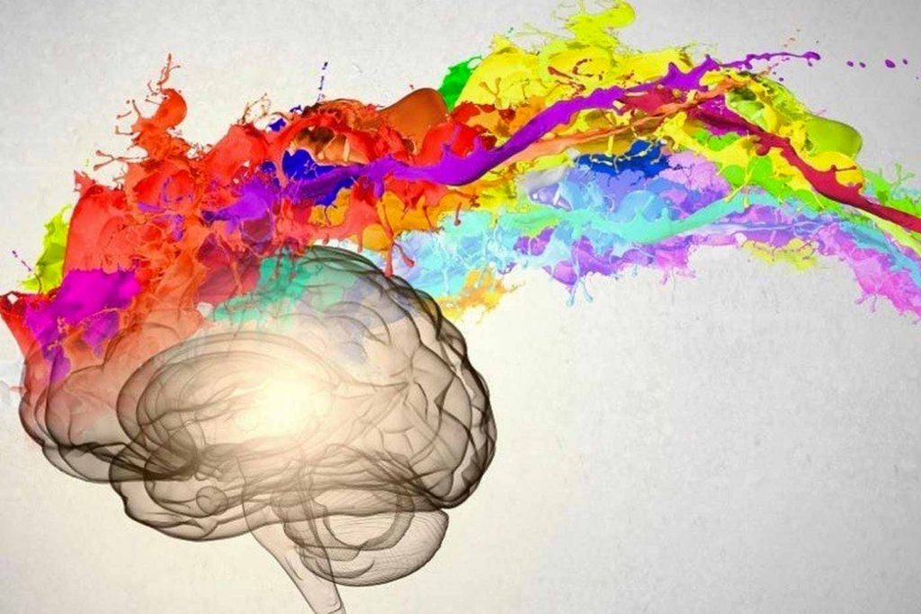 Ateliers d’écriture créative et multimediale by Emily Calaiero - Ourboox.com