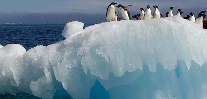 KUTUPLARDAN HABER by reyyançmaoal  - Ourboox.com