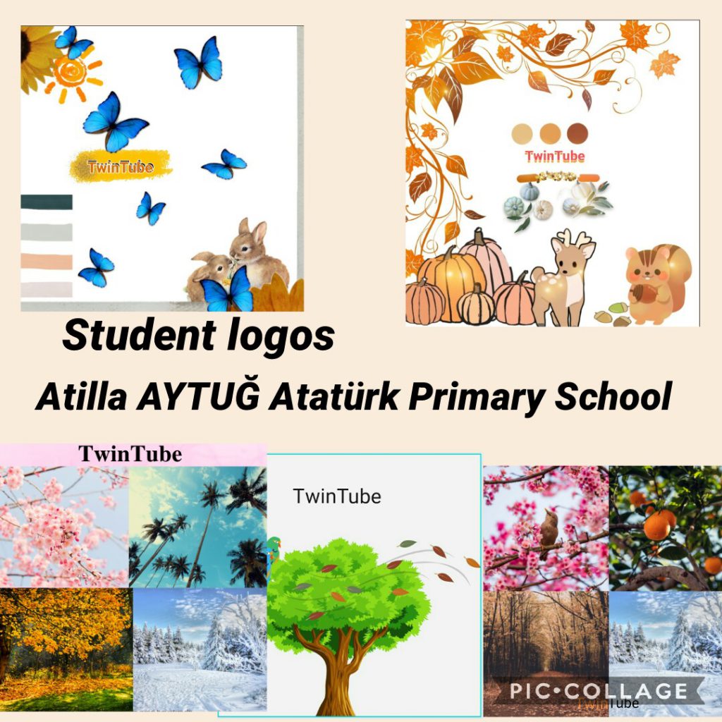 TwinTube by Ayşe Acar - Ourboox.com