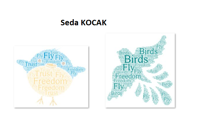 I Think Migratory Birds by Emine Merve KAYAR - Ourboox.com