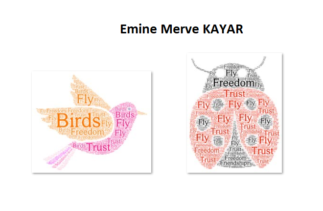 I Think Migratory Birds by Emine Merve KAYAR - Ourboox.com