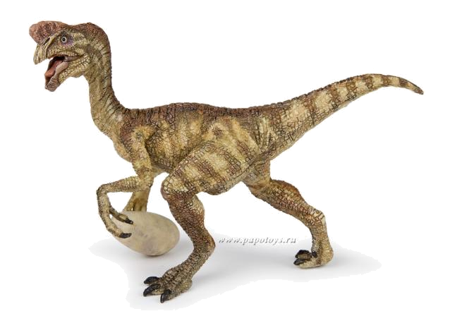 Oviraptor by Valya Brovtsyna - Ourboox.com