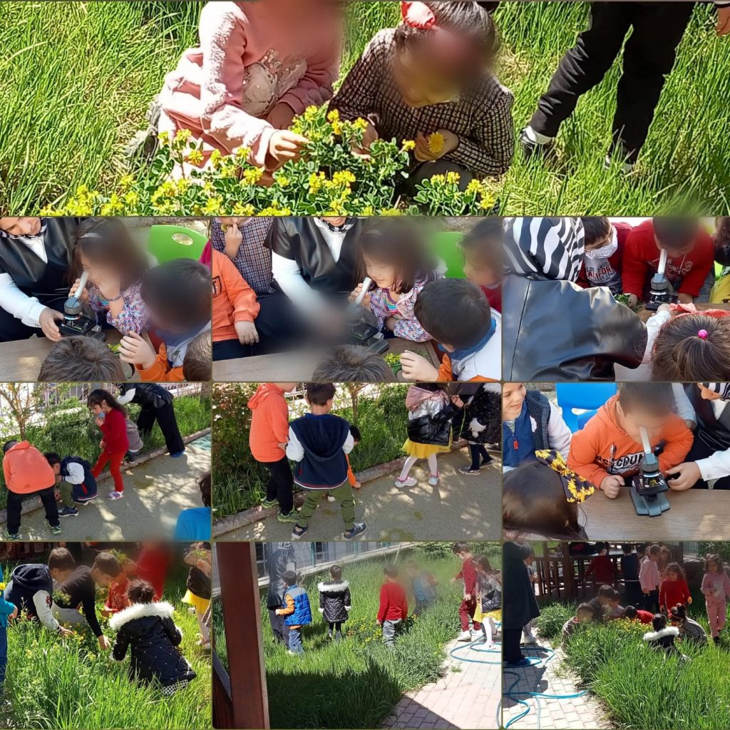 Güçlerimi Fark Ediyorum, Mutlu Oluyorum Projesi e-book Çalışması by Tuğba KILIÇ - Ourboox.com