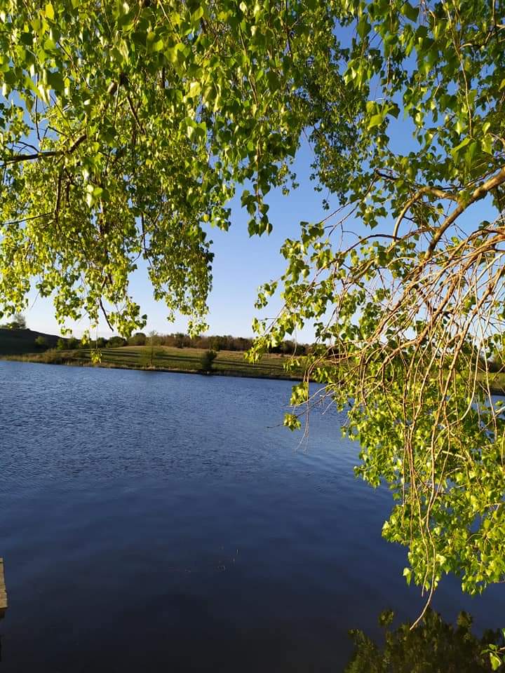 Природа рідного краю by Dima Tendyuk - Ourboox.com