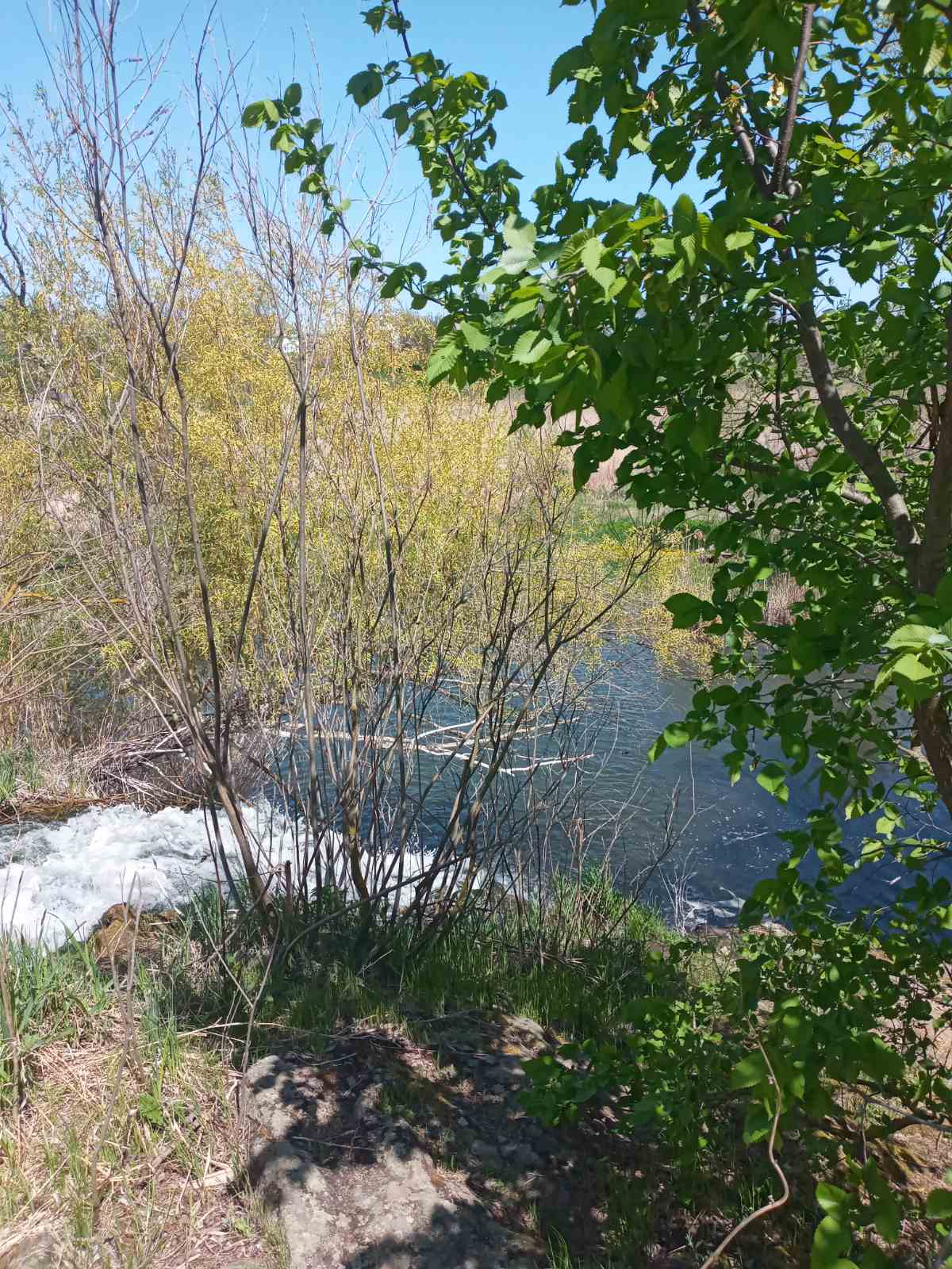 Природа рідного краю by Dima Tendyuk - Ourboox.com