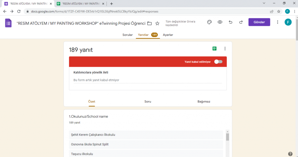 My Painting Workshop Students Surveys by Funda Yılmaz - Ourboox.com