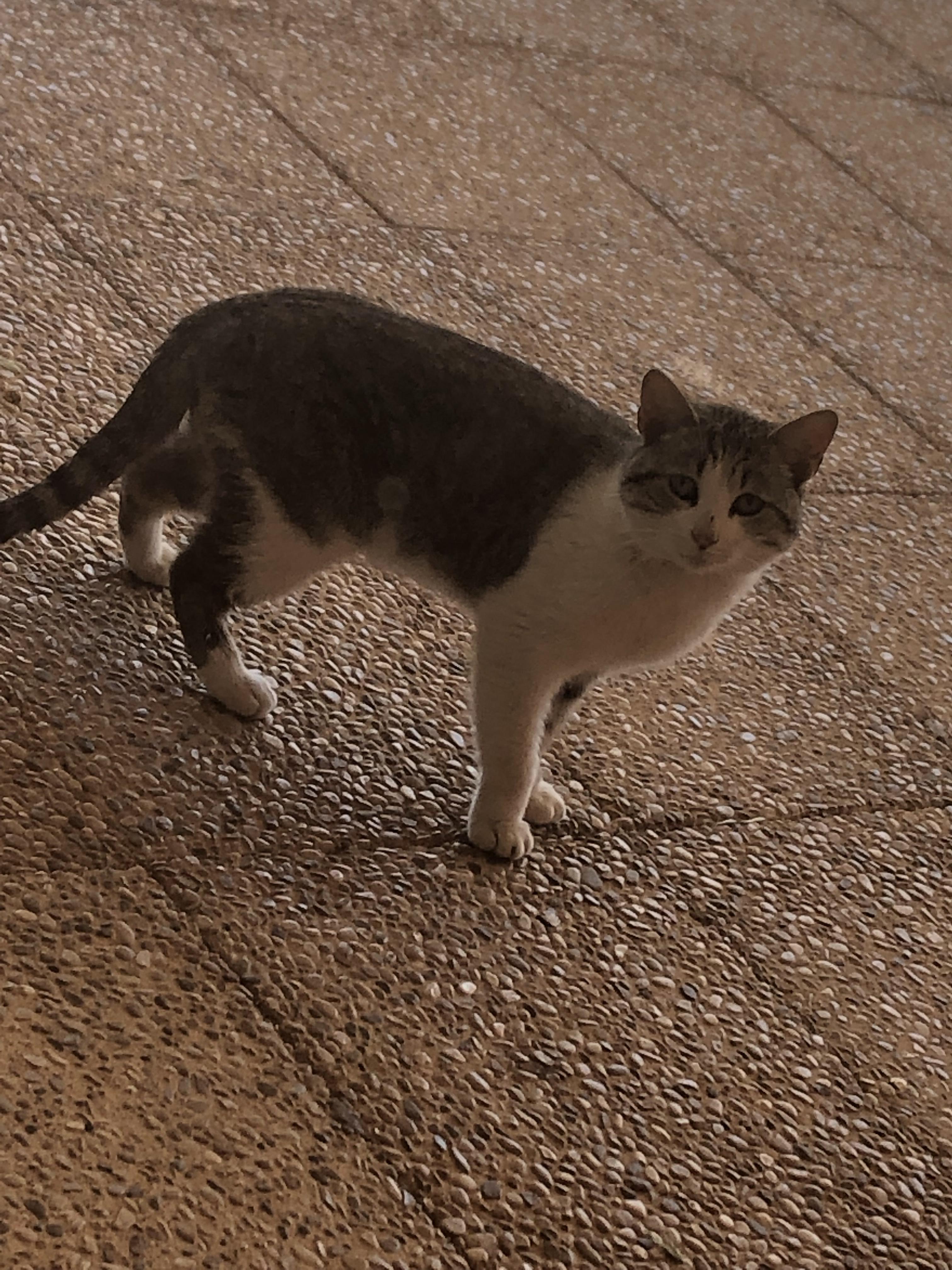 Edición Fotográfica by Carmen Muñoz Moraleda - Ourboox.com